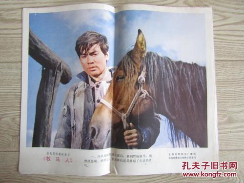 南亚拉巴马大学金融文凭证书